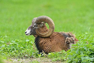 复古心理生存恐怖游戏《心丝虫》宣布跳票至2025年